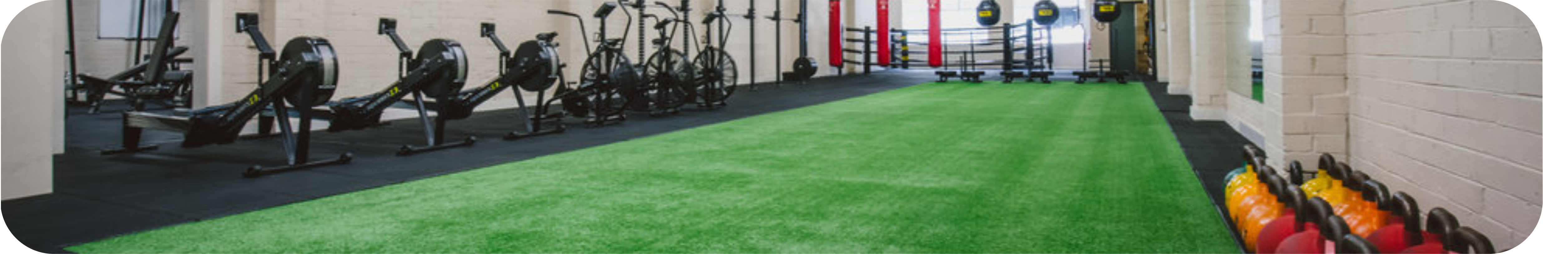 Image Title My Image